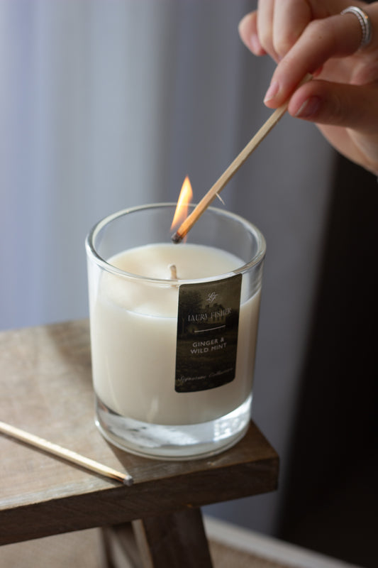 Ginger & Wild Mint Signature Soy Wax Candle