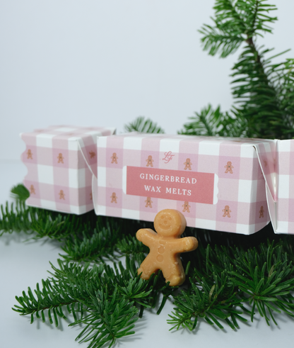 Gingerbread Wax Melt Cracker
