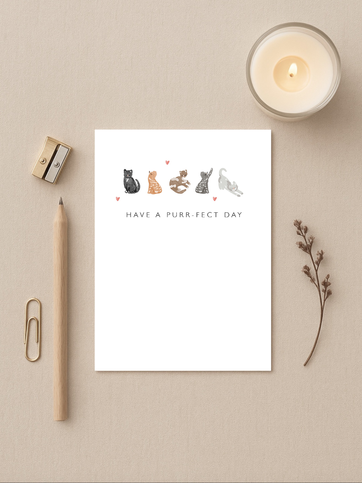 Purr-Fect Birthday Card