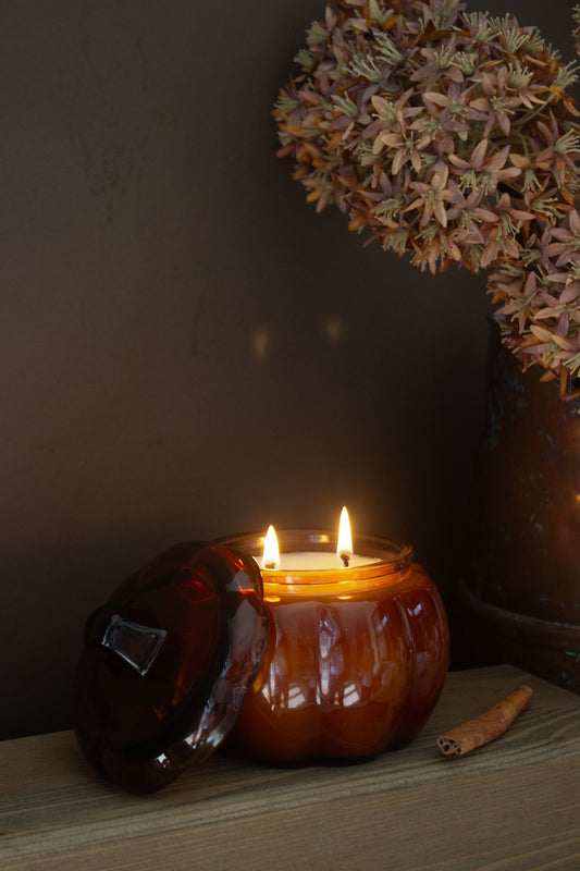 The Pumpkin Patch 2 Wick Candle