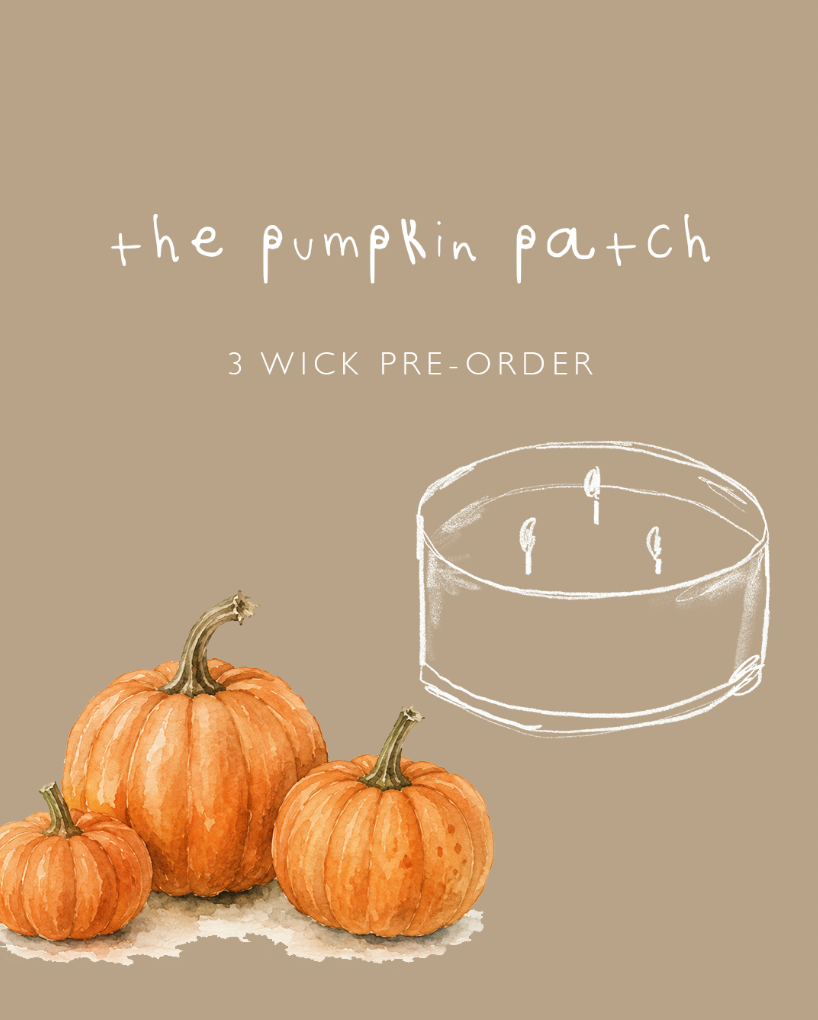 The Pumpkin Patch 3 Wick Candle